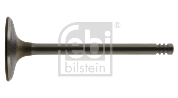 Intake Valve